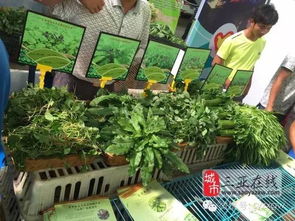 三亞市扶貧農產品展銷會 農副產品引圍觀，創意無限人潮涌動