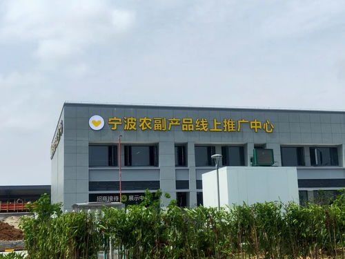 寧波農副產品物流中心一期試運營開啟 農產品流通新樞紐，便捷交通指南助您暢行